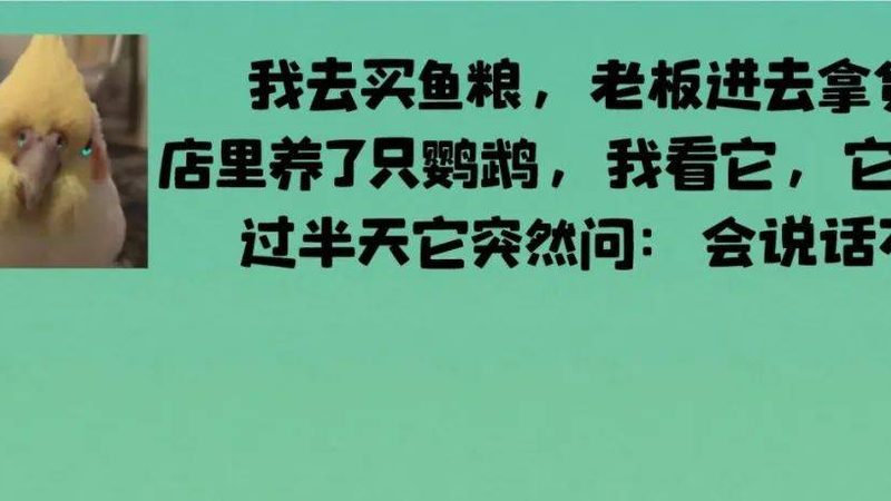 避坑指南：如何避免选择“假冒”有机食材